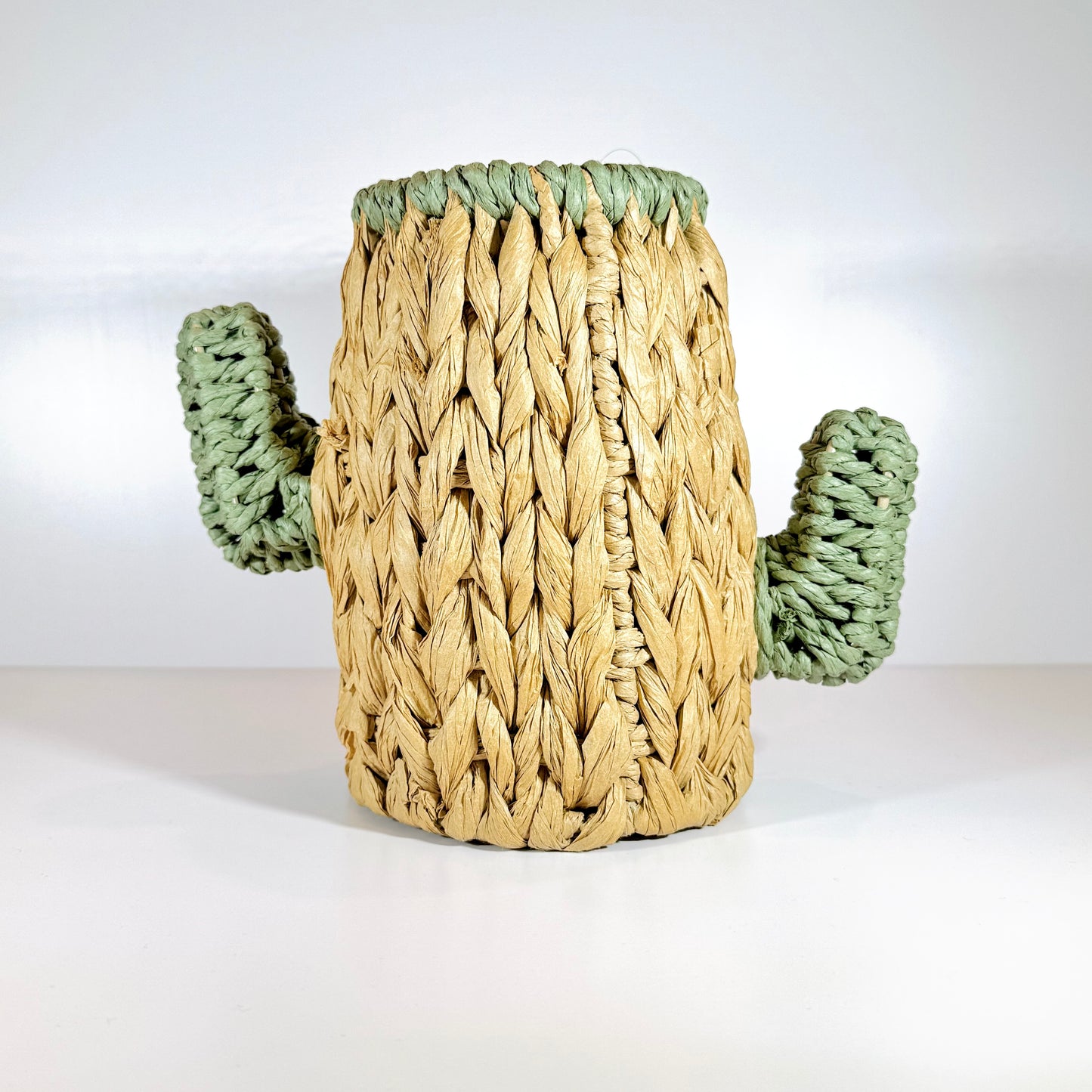 RGI Home Cactus Basket