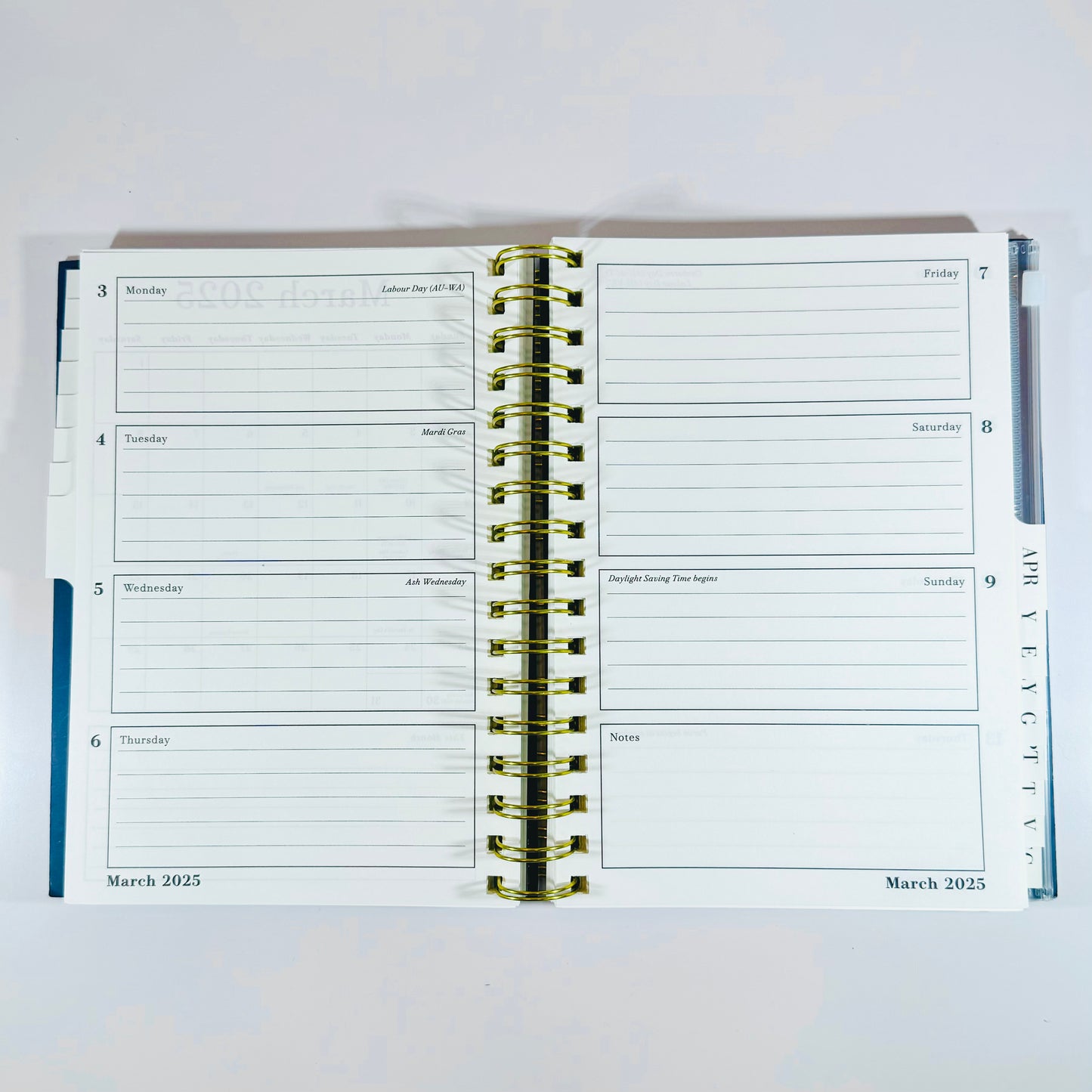 Punch Studio Monthly & Weekly Planner - 17 Months