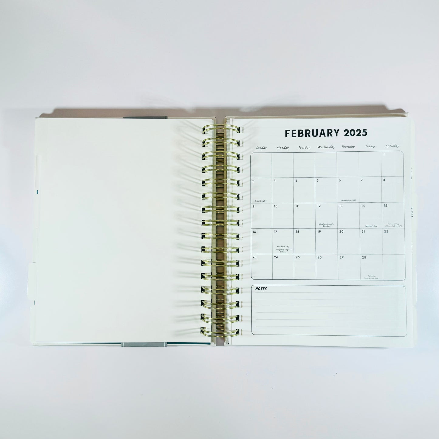 Molly & Rex Monthly & Weekly Planner 2024 / 2025 - 17 Months