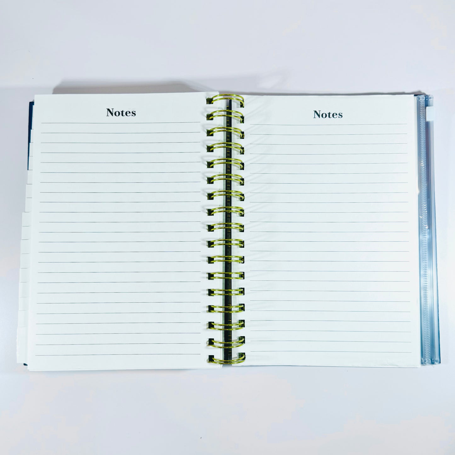 Punch Studio Monthly & Weekly Planner - 17 Months